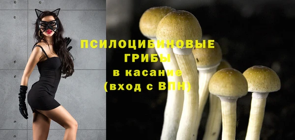 MESCALINE Богданович