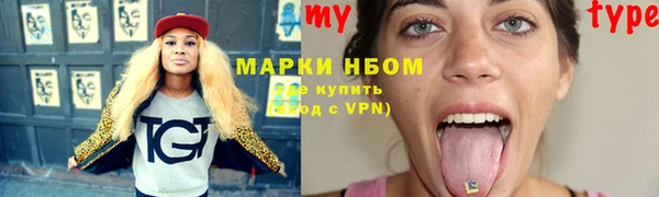 твердый Богородск