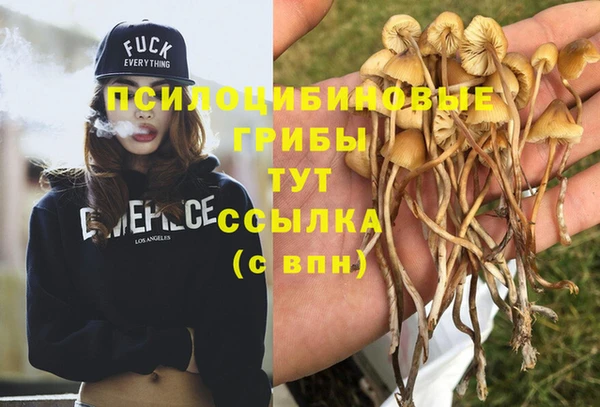 твердый Богородск
