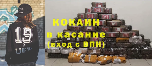 твердый Богородск