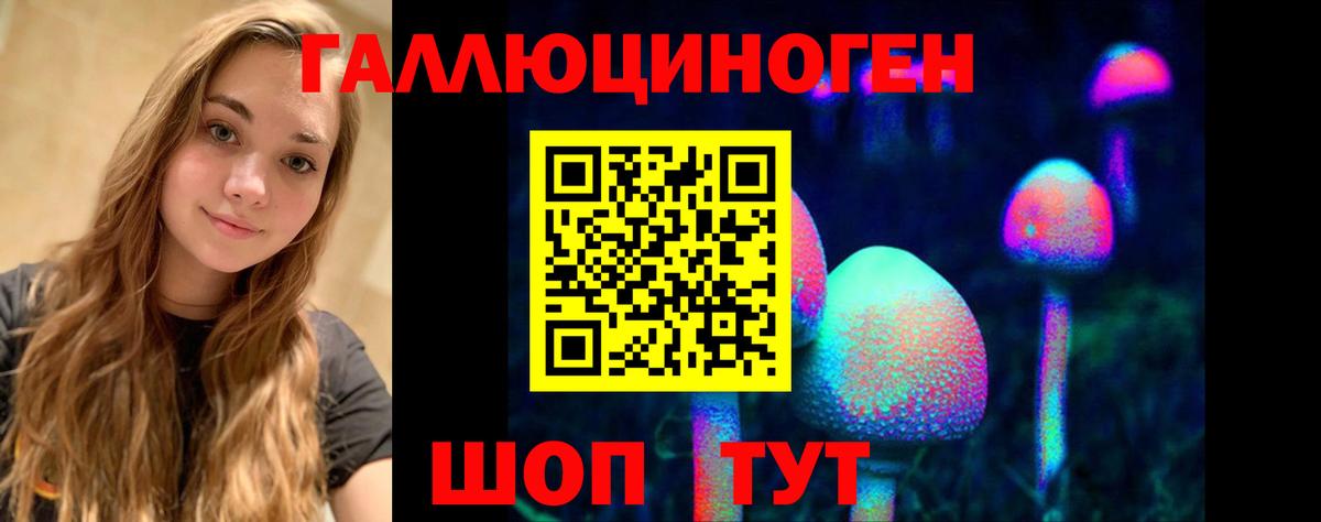 Галлюциногенные грибы Cubensis  Галлюциногенные грибы мухоморы  где можно купить   Новошахтинск  Вход с VPN 
